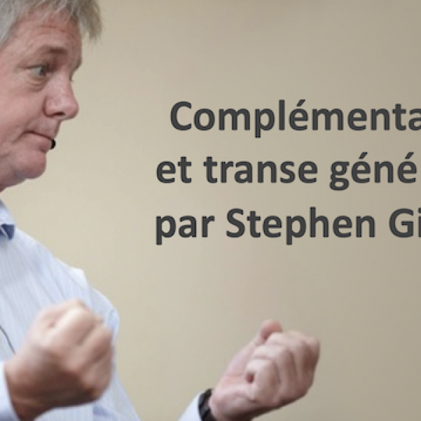 Complémentarités et transe générative par Stephen Gilligan